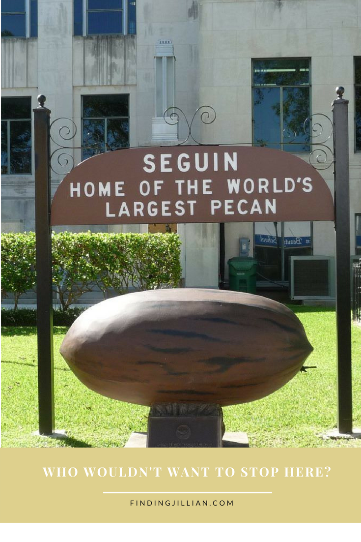 Family Road Trip pecan