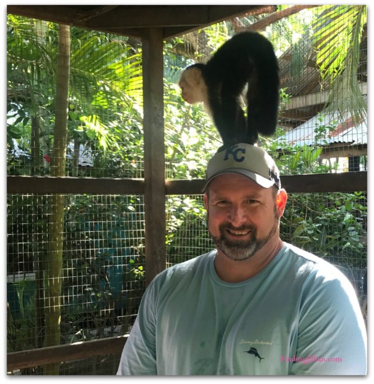 monkey on man's head