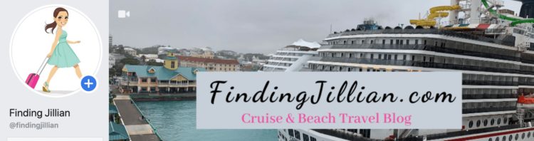 image of Finding Jillian Facebook Group for Cruise Fans