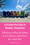 pinterest image a cruise port day in Roatan