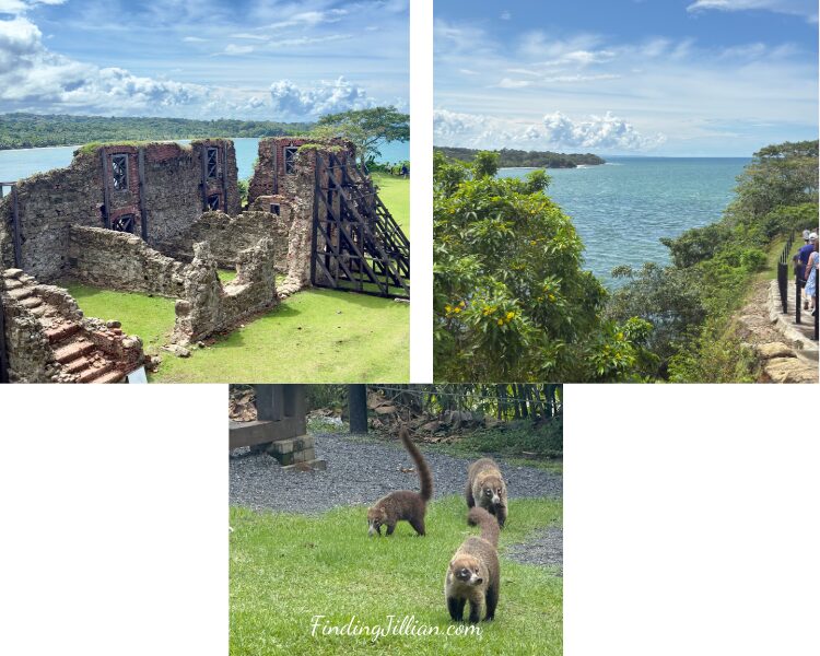 collage of 3 images from the San Lorenzo Fort in Panama - fort, sea view and animals