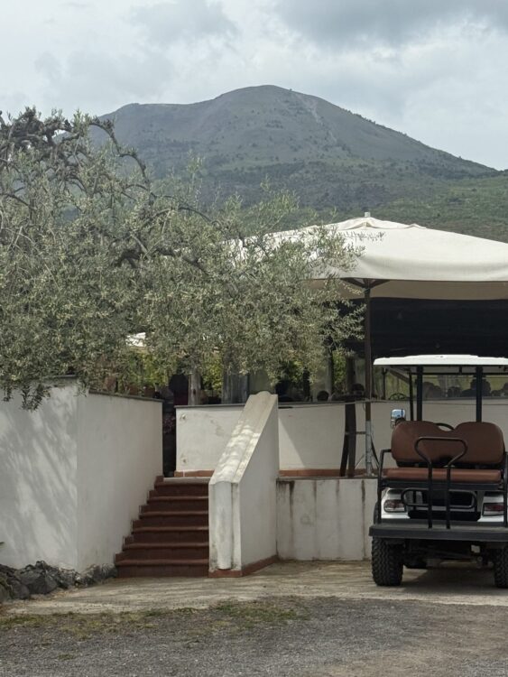 image of lunch venue with mount vesuvius in the background