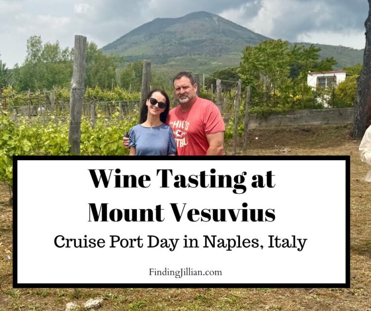 image of FindingJillian and Brian at vineyard in front of Mt. Vesuvius