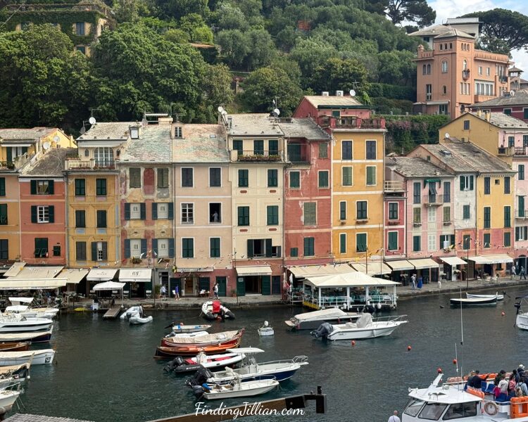 image of Portofino harbor buildings