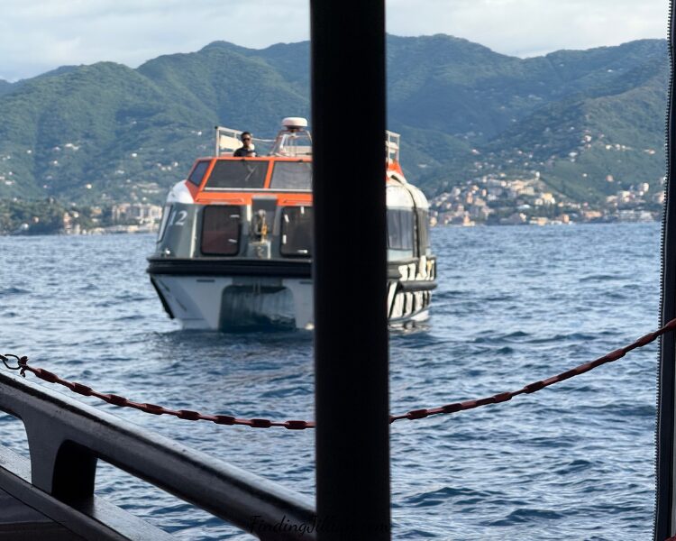 image of life boat used and tender to Portofino