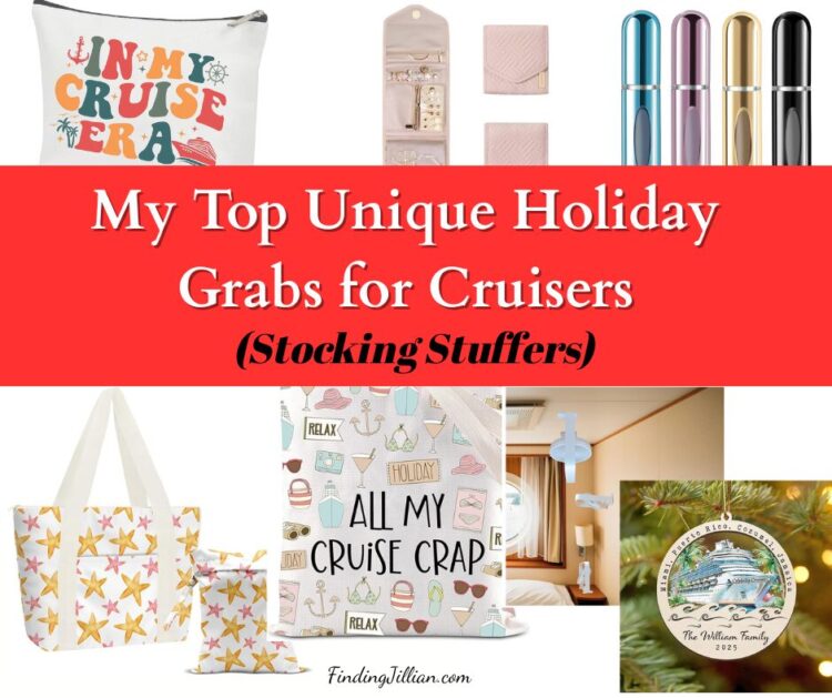 blog post feature image for My Top Unique Holiday Grabs for Cruisers - collage of product images from post.