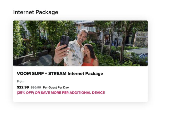 work from a cruise ship - daily price of internet